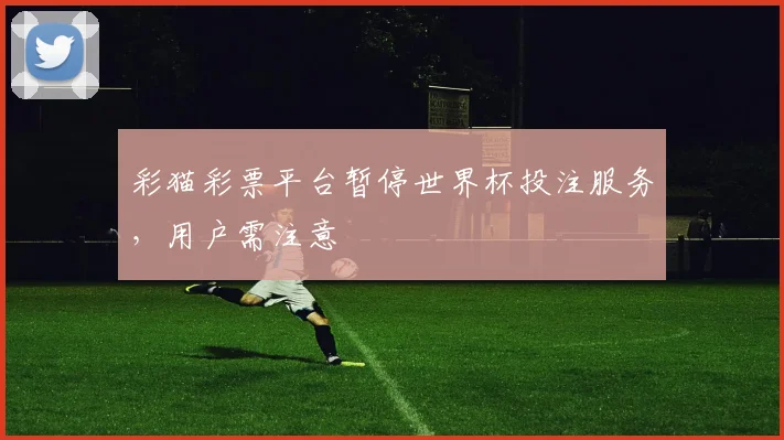 彩猫彩票平台暂停世界杯投注服务,用户需注意