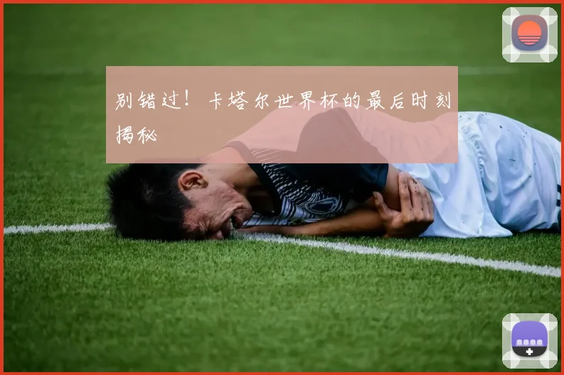 别错过！卡塔尔世界杯的最后时刻揭秘