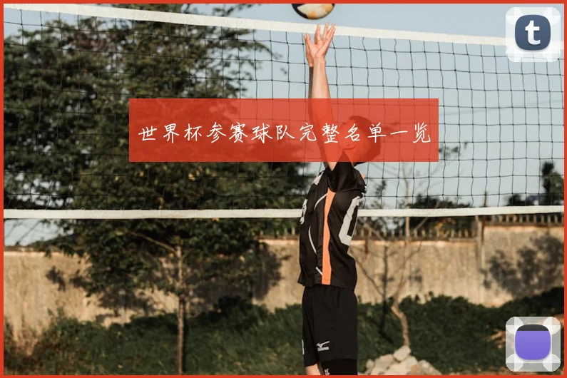 世界杯参赛球队完整名单一览