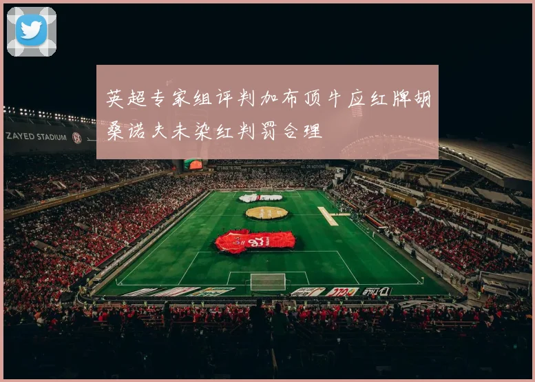 英超专家组评判加布顶牛应红牌胡桑诺夫未染红判罚合理