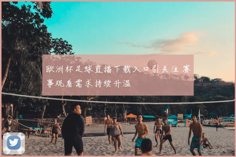 欧洲杯足球直播下载入口引关注 赛事观看需求持续升温