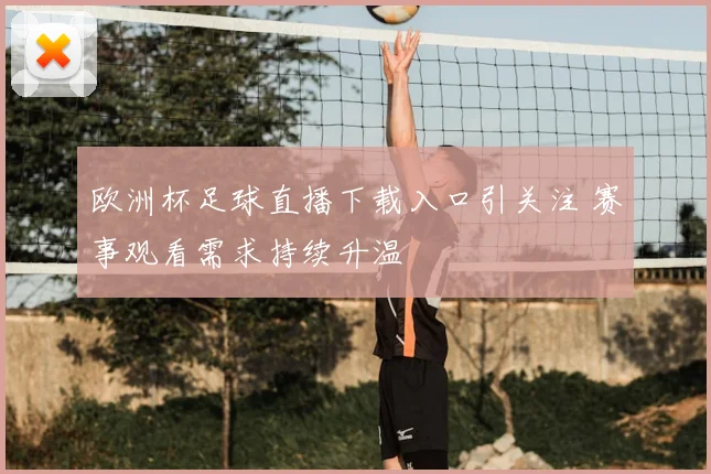 欧洲杯足球直播下载入口引关注 赛事观看需求持续升温