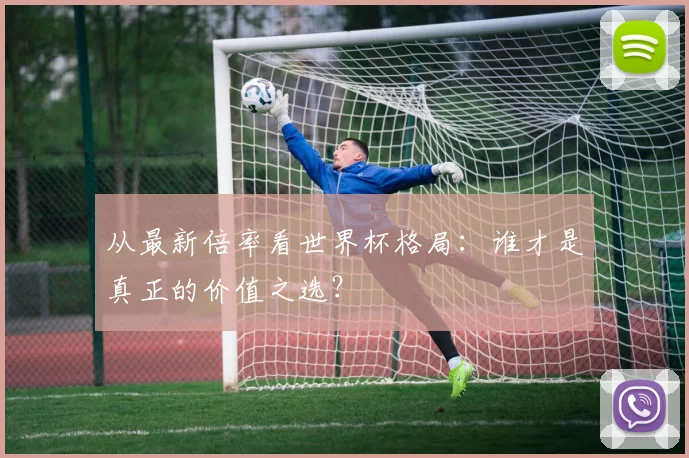 从最新倍率看世界杯格局:谁才是真正的价值之选?