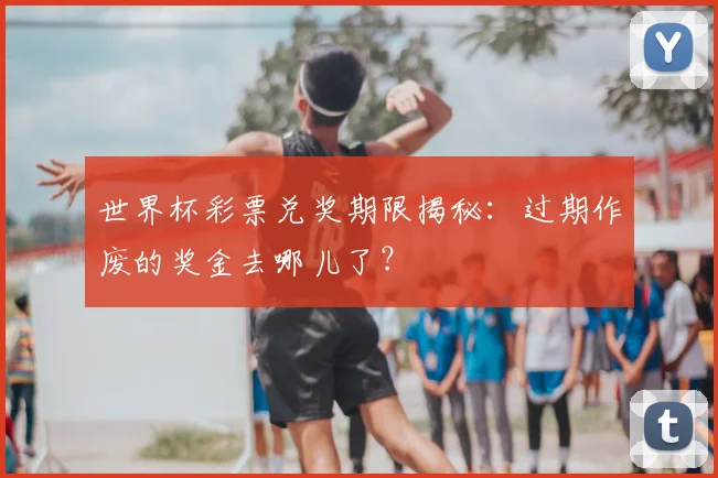 世界杯彩票兑奖期限揭秘:过期作废的奖金去哪儿了?