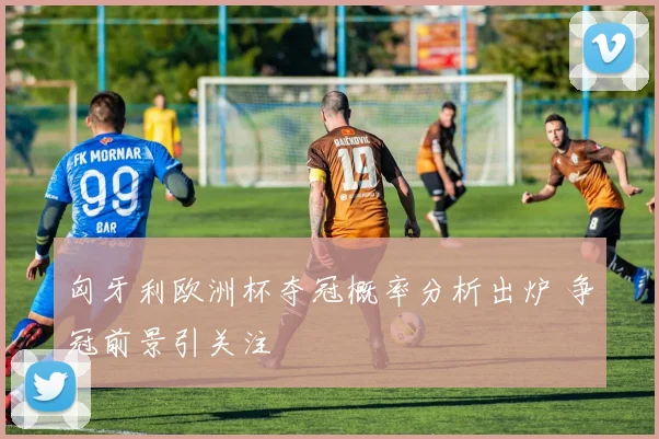 匈牙利欧洲杯夺冠概率分析出炉 争冠前景引关注