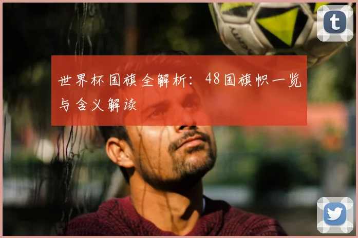 世界杯国旗全解析：48国旗帜一览与含义解读