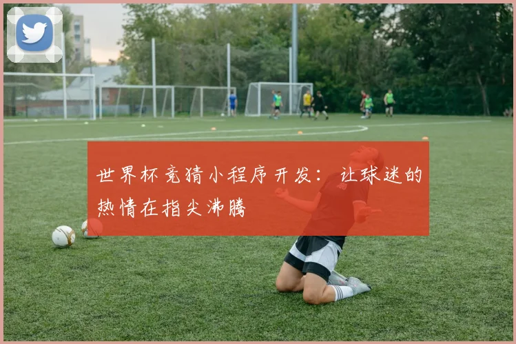 世界杯竞猜小程序开发：让球迷的热情在指尖沸腾